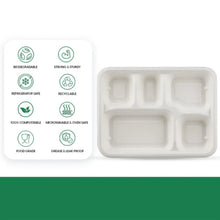 Section Lunch Tray